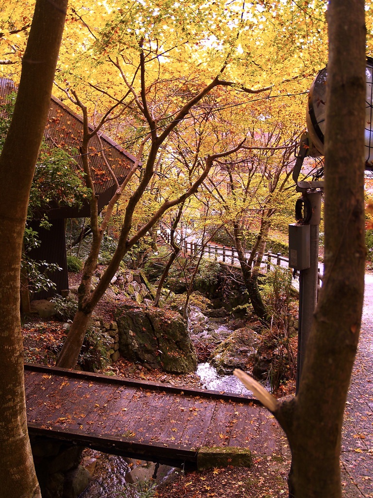風景１９１　秋