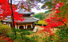 風景２５０ 寺　秋