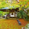 日本風景１２５４　秋