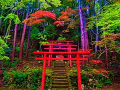 風景２３７　山寺　 秋