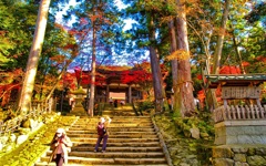 風景３０２ 寺　秋