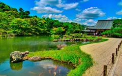 風景４２７　嵐山　庭