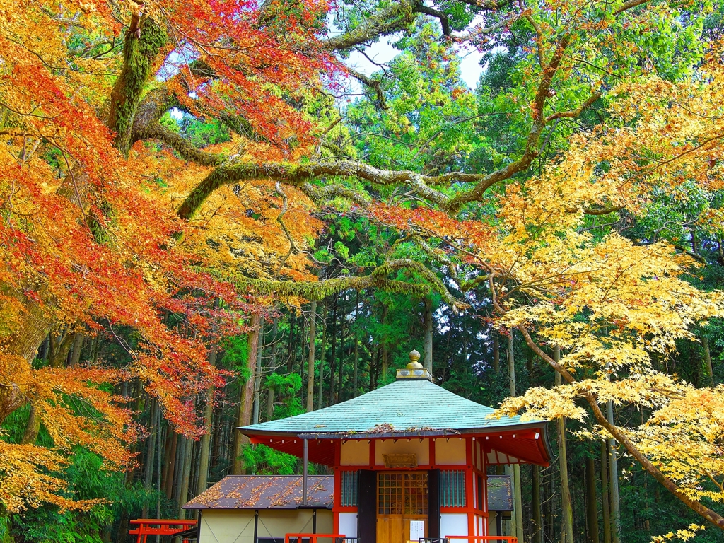 日本風景１２５６　秋