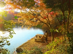 日本風景１２４５　秋紅葉