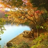 日本風景１２４５　秋紅葉