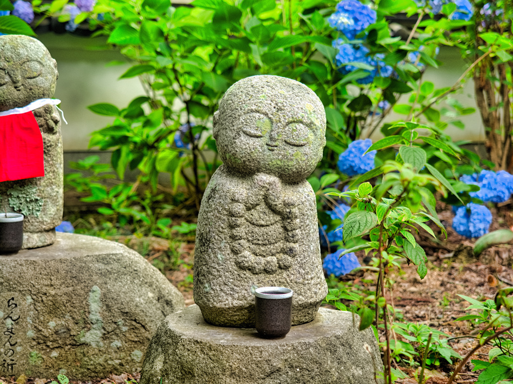 日本風景９８９　紫陽花