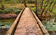 日本風景８２８　清流　上高地