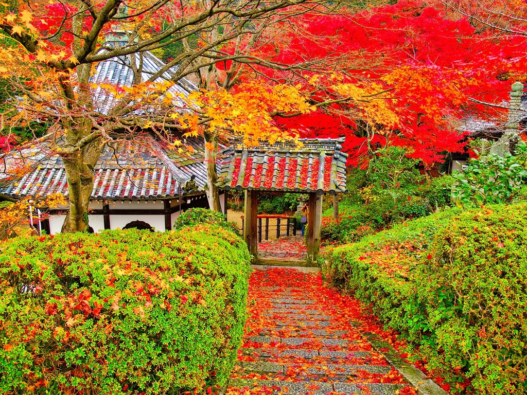 風景２４９ 寺　秋