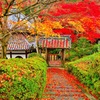 風景２４９ 寺　秋