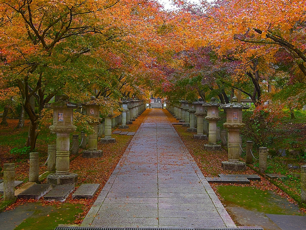 日本風景１２６０　秋