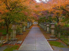 日本風景１２６０　秋