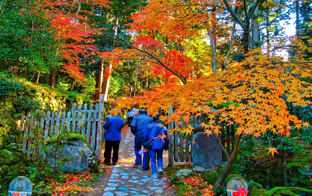 風景２９１ 寺　秋