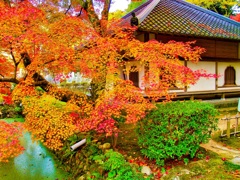 風景２２９　山寺　 秋