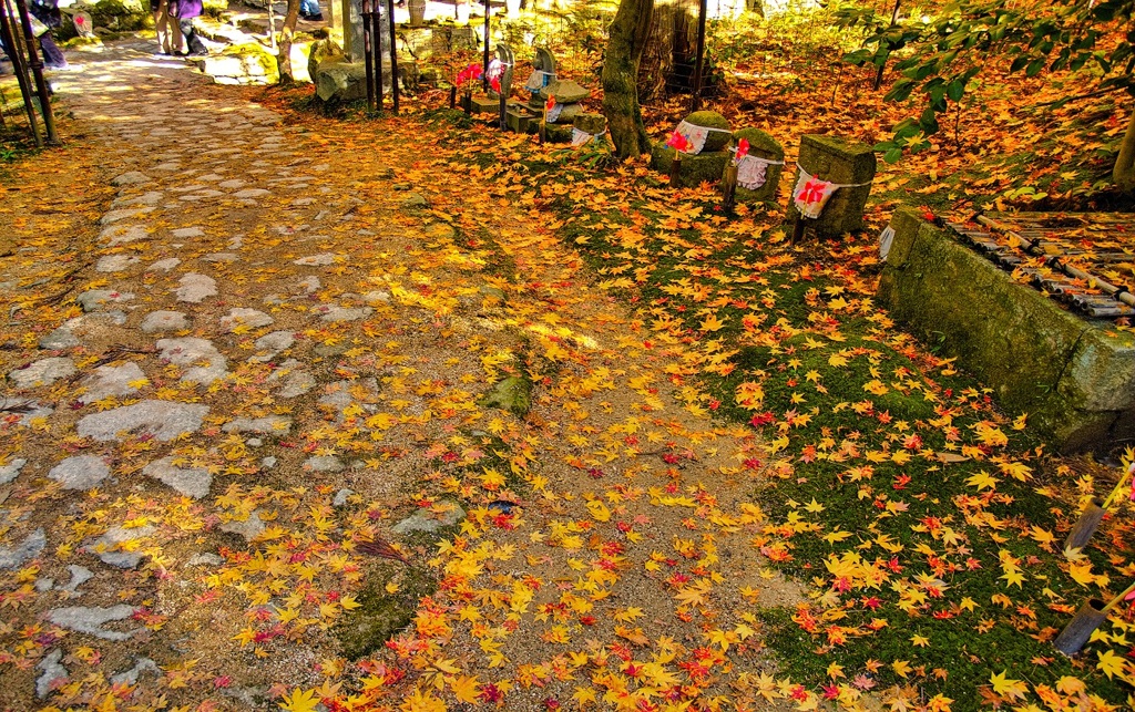 風景３４３ 寺　秋