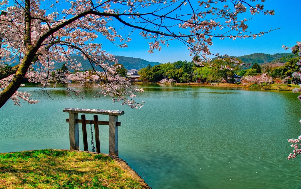 風景４３６　京都　春