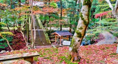 風景１９３　山寺　秋