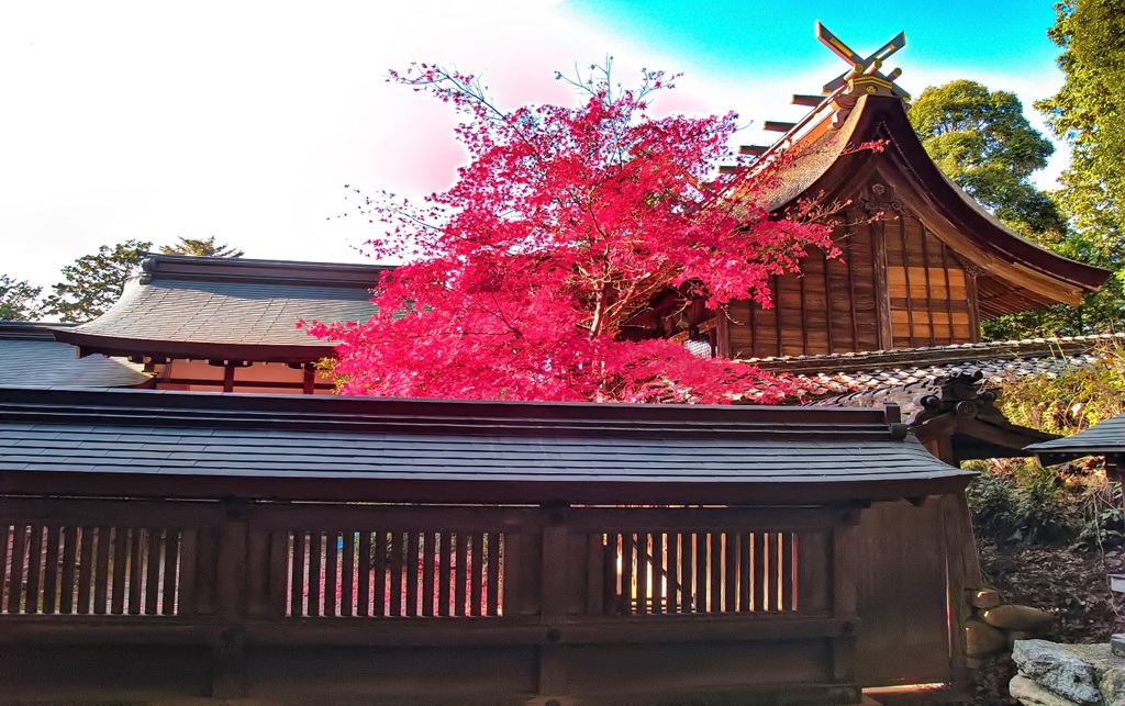 風景３３４ 寺　秋