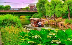 風景６３６　京都　宇治