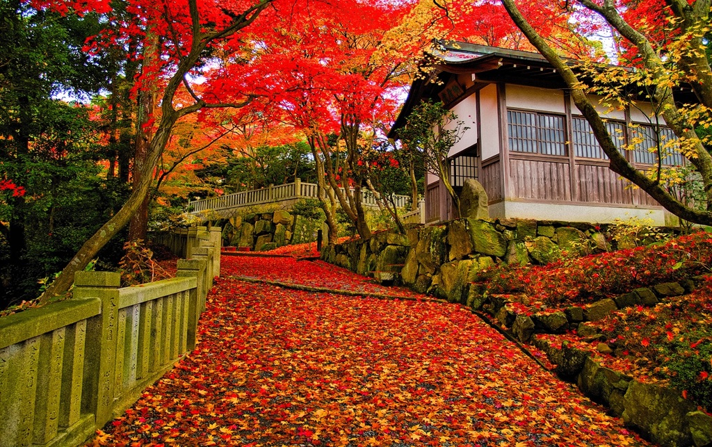 風景３１２ 寺　秋