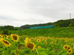 日本風景１１３４　鉄道