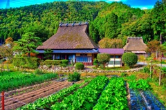 日本風景８５１茅葺