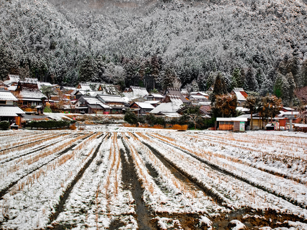 日本風景１０３５　冬村