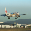 日本風景１１４６　airplane