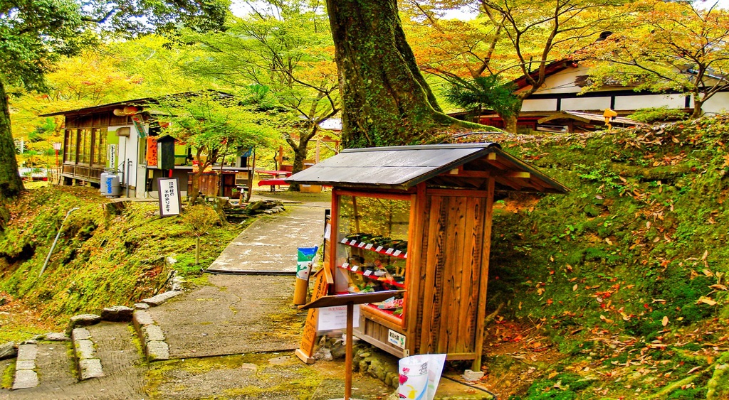 風景１８９　京都　高雄　