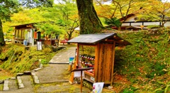 風景１８９　京都　高雄　