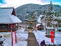 風景３６３　神社　冬