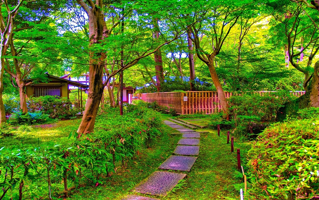 風景６８３　京都　庭