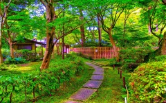 風景６８３　京都　庭