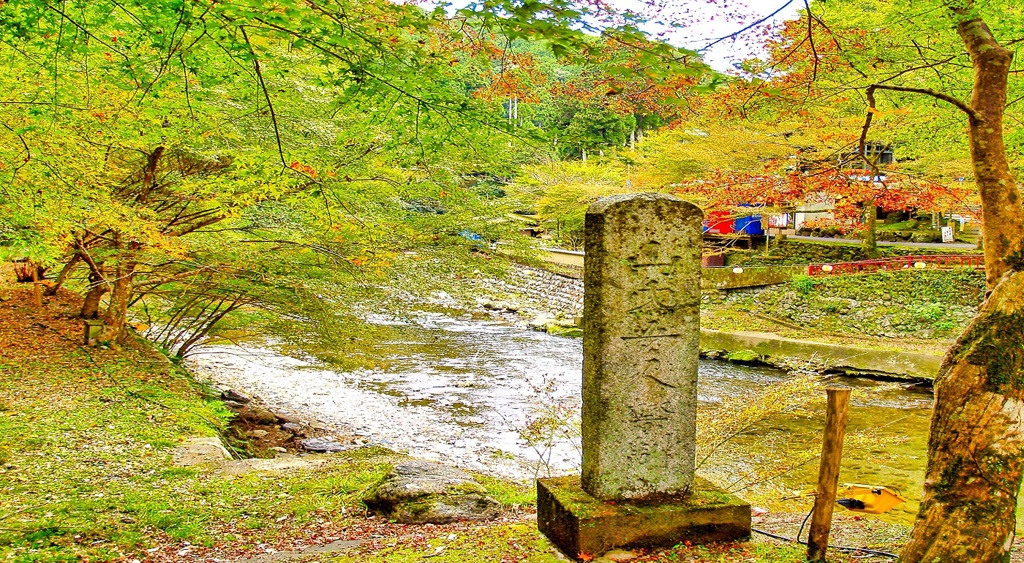 風景１８８　京都　高雄　