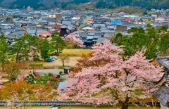 日本風景９０８　桜と出石