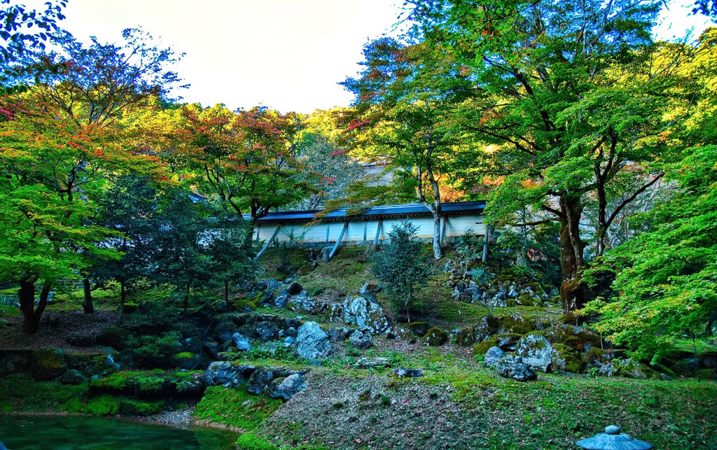 風景７１５　京都　庭