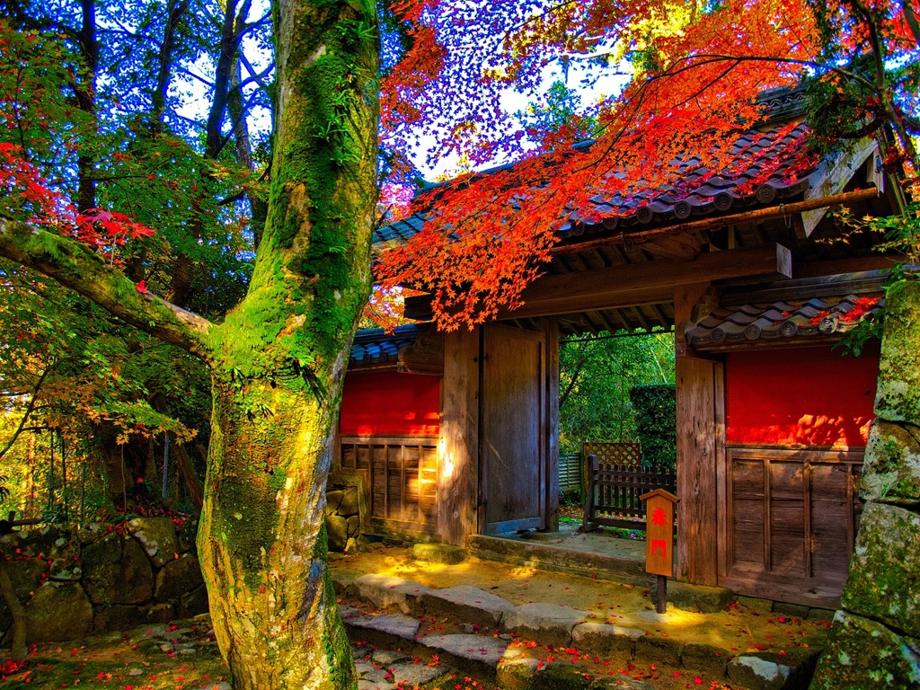 風景２７４ 寺　秋