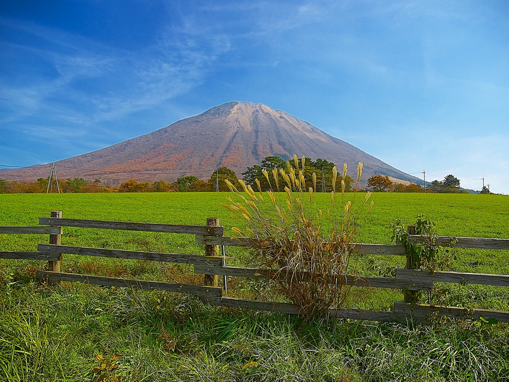 日本風景１２４１ 紅葉