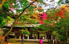 風景２４９　寺　秋
