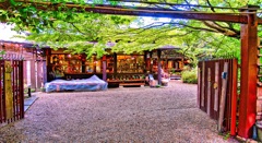 風景１５７　京都　嵯峨野