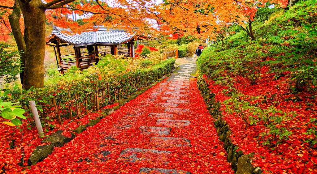風景２４５ 寺　秋