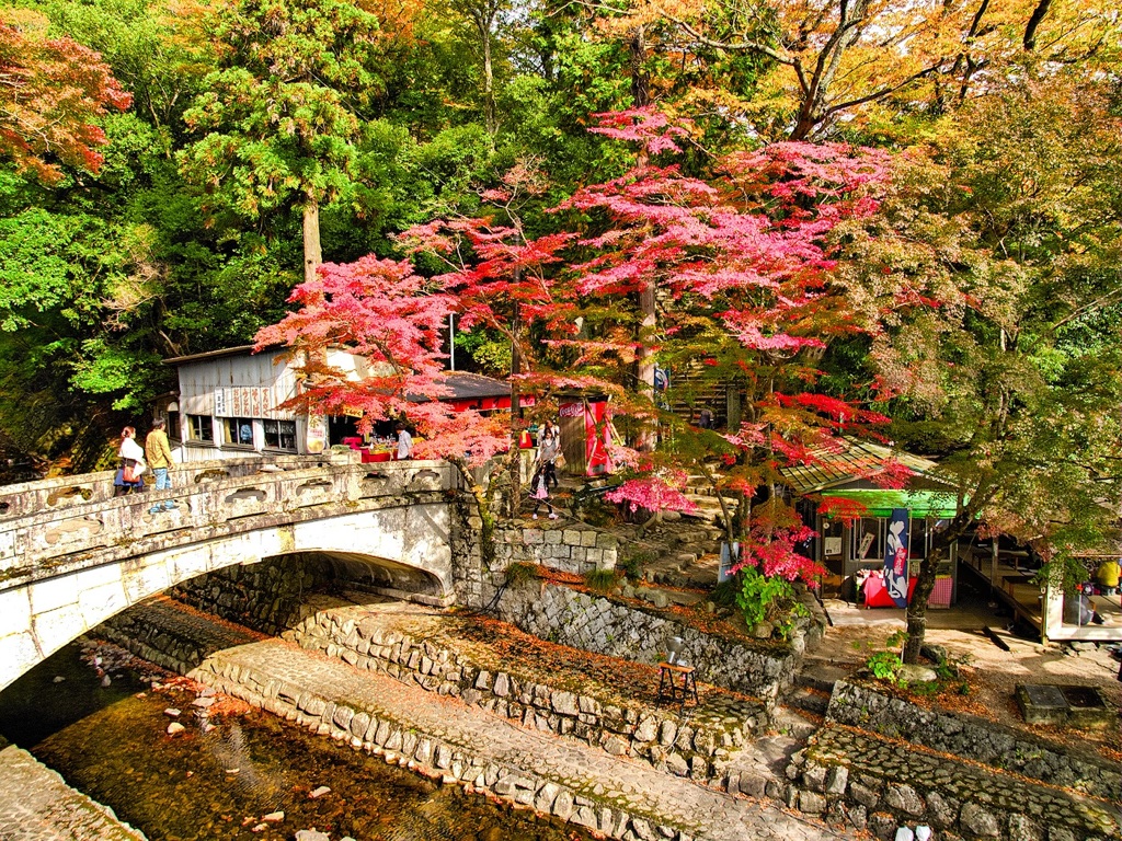 風景２５０　山寺　秋
