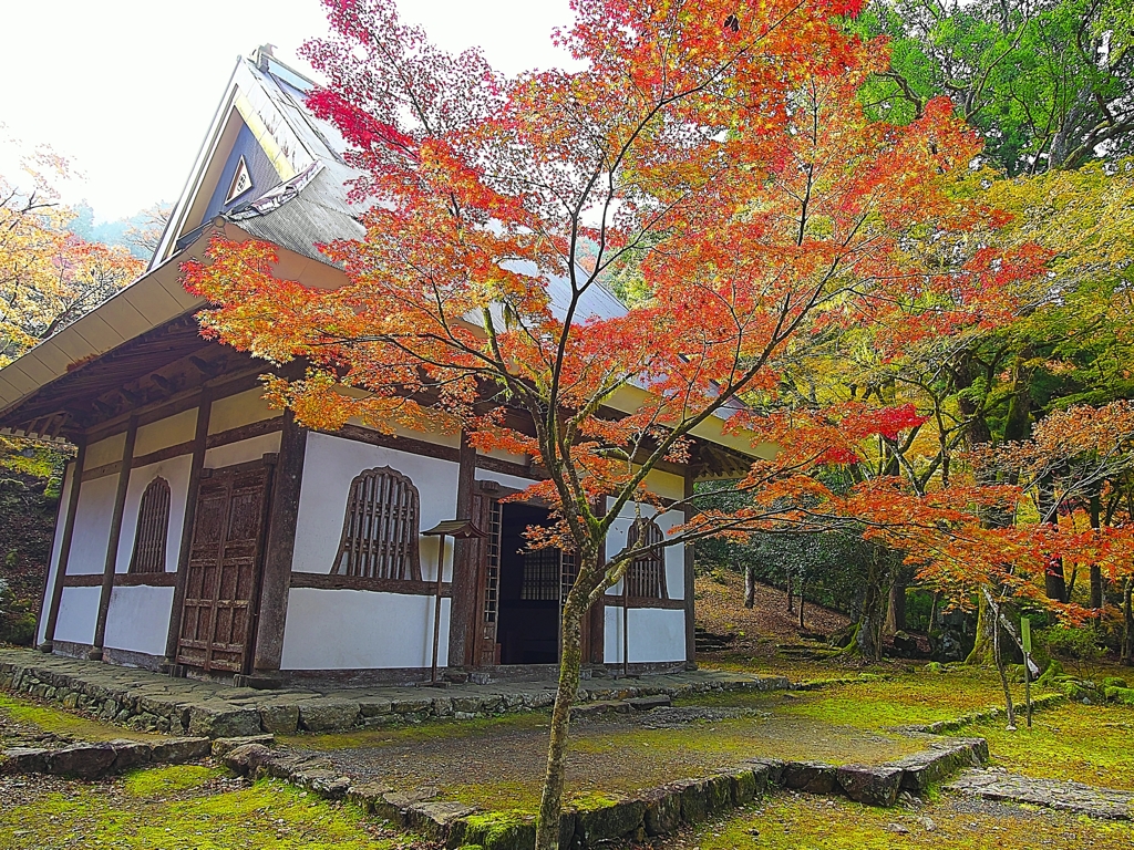 日本風景１２３８ 紅葉