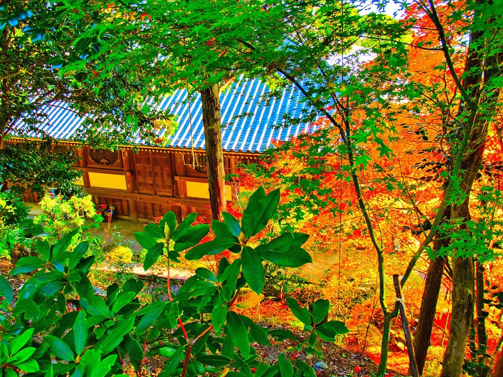風景２６０ 寺　秋