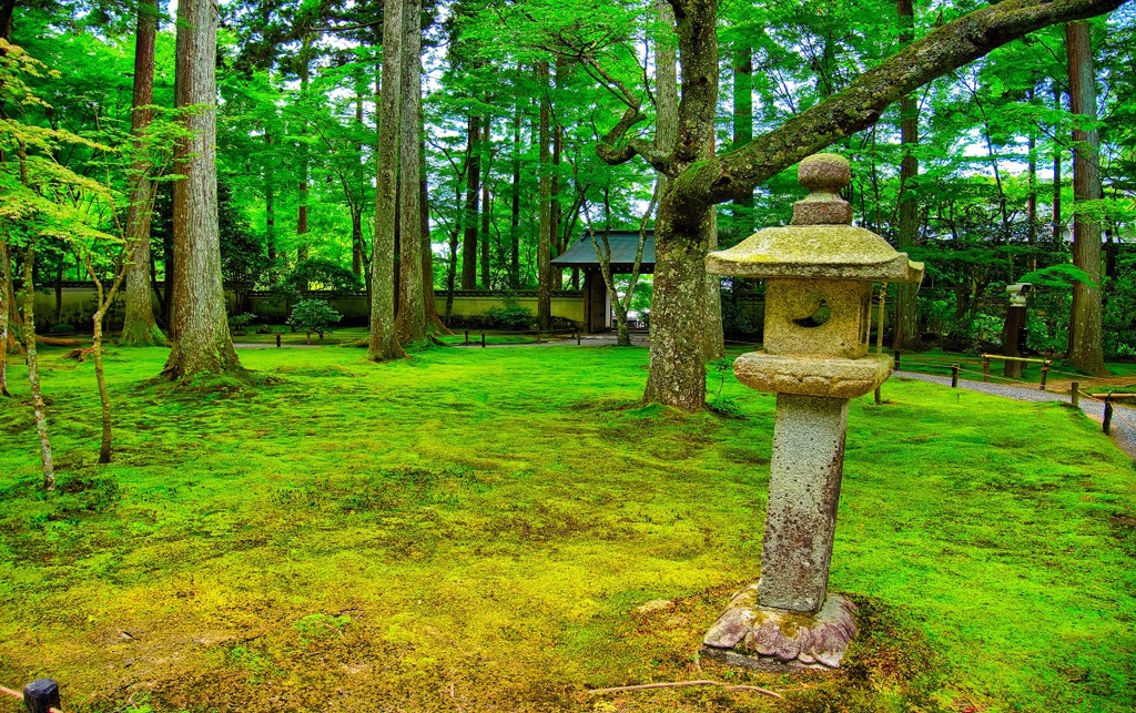 日本風景７２６　京都　庭