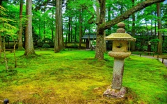 日本風景７２６　京都　庭