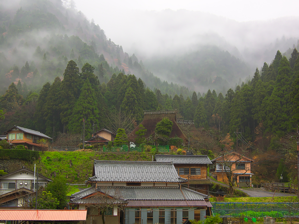 日本風景１２５8　秋