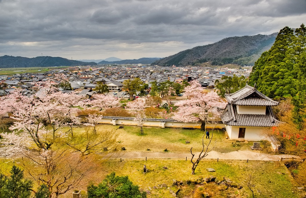 日本風景８９６　春桜　出石眺望