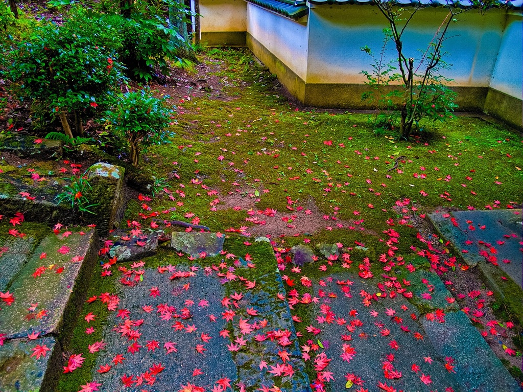 風景２４２　山寺　秋