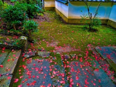 風景２４２　山寺　秋