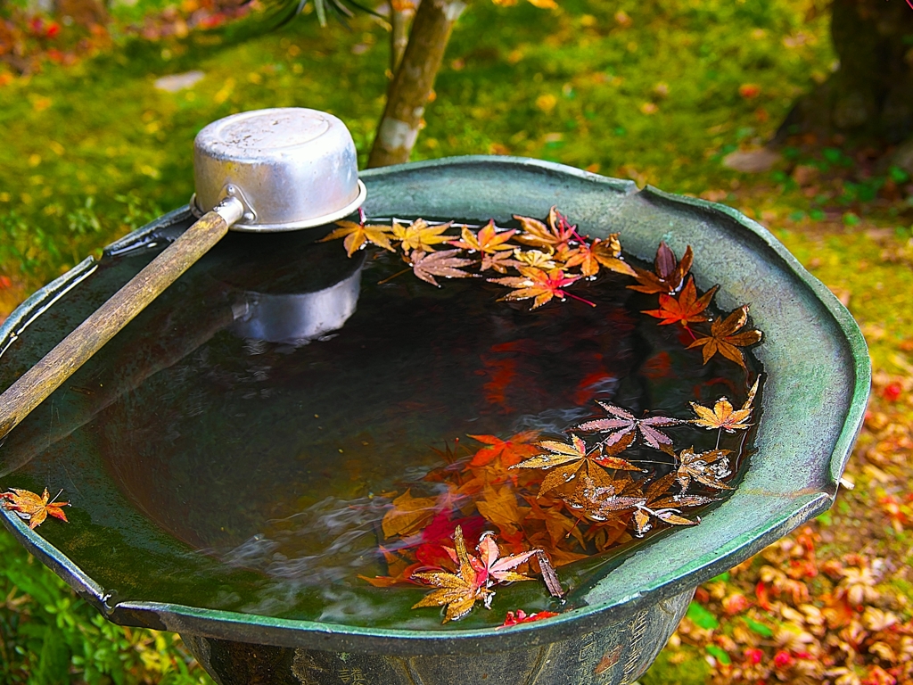 日本風景１５０７　紅葉